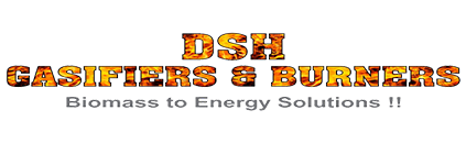 Dsh Biomass Gasifier Power Plant